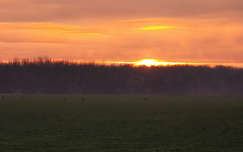 Köd, felkelő Nap, menekülő őzek