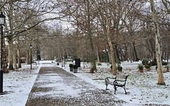 Balatonalmádi, Szent Erzsébet Liget