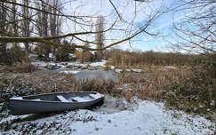 Balatonfűzfő, csendélet