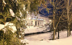 Balatonfűzfő, kékóra