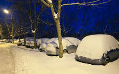 Balatonfűzfő, kékóra