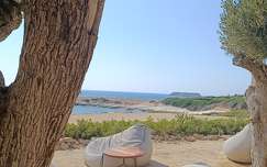 Ciprus-Paphos- Olive tree beach