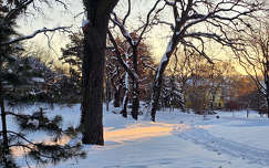 Felkelő nap fénye Balatonfűzfőn