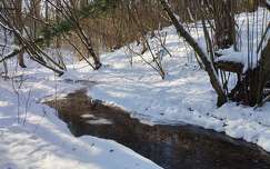Téli patak