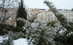 Szekszárd, Béla király tér