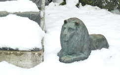 Hóoroszlán - Szekszárd, Béla király tér