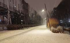 A Szabó Magda sétány hóesésben