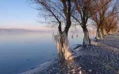 Balaton