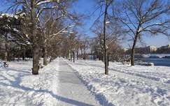 Behavazott Margit-sziget