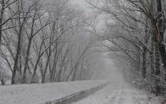 Benta patak Tárnoknál