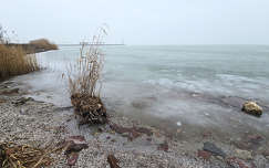 Tihany, Balaton, köd, jég