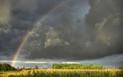 gabonaföld kukoricaföld szivárvány felhő magyarország