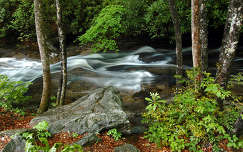 Smoky Mountains Nemzeti Park