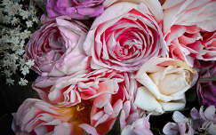 rózsa rózsák napfény napsütés szirom virág bodza levél rózsalonc