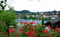 Interlaken, Thun-tó, Svájc, Alpok