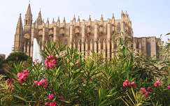 Palma homokkő katedrálisa, Mallorca