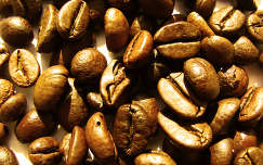kávé termény