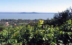 balaton tó magyarország