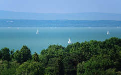 balaton tó magyarország vitorlázás