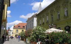 Győr,Sétáló utca