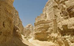 Izrael Homok sivatag 2006