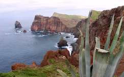 Madeira sziklái