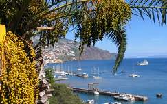 Funsal kikötője, Madeira, Portugália