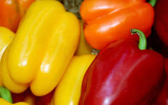 zöldség termény paprika