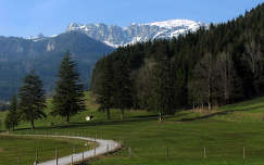 Ausztriai hegyi út