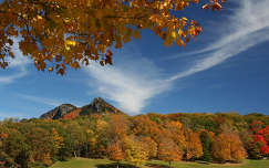 hegy ősz címlapfotó erdő