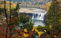 vízesés címlapfotó ősz levél erdő