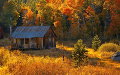 ház faház címlapfotó ősz erdő
