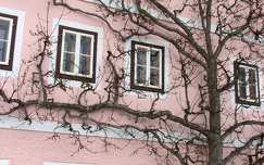 ház fa hallstatt ausztria