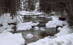 A patak télen, Magas-Tátra, Zdiar környékén, Szlovákia