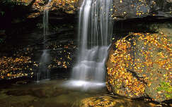 ősz vízesés kövek és sziklák levél