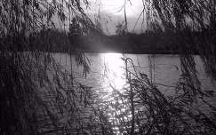 fény tó fekete-fehér