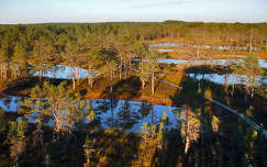 Lahemaa Nemzeti park Észtországban