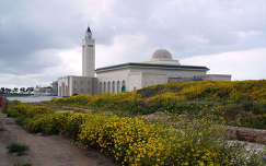 Mecset, Karthágó, Tunézia