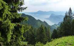 Kilátás a Pilátus hegy oldaláról, Svájc