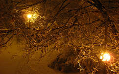 fa lámpa éjszakai képek tél