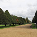 Hampton Court - Anglia