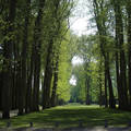 Versailles-i kastély, park