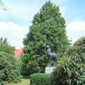 Szarvas - szarvas szobor - fotó: Kőszály