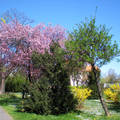 Tavasz - Debrecen