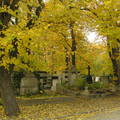 Budapest,Farkasréti temető őszi színekben