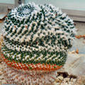 Mozaik kaktusz,Vácrátóti arborétum