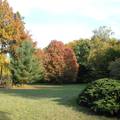 Szarvas- Arborétum- őszi parkrészlet- fotó: Kőszály