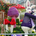 Haarlem, Holland, bloemenshow Alice in Wonderland