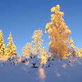 Téli napfelkelte, Svédország