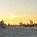 Téli naplemente, Svédország